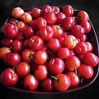 Acerola Cherries