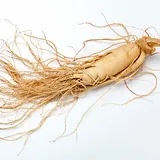 American Ginseng