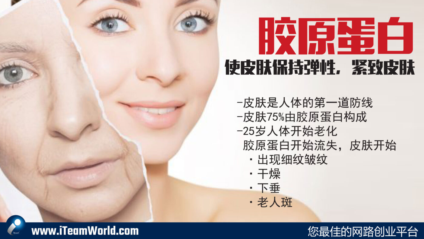 Antioxidants cn 1