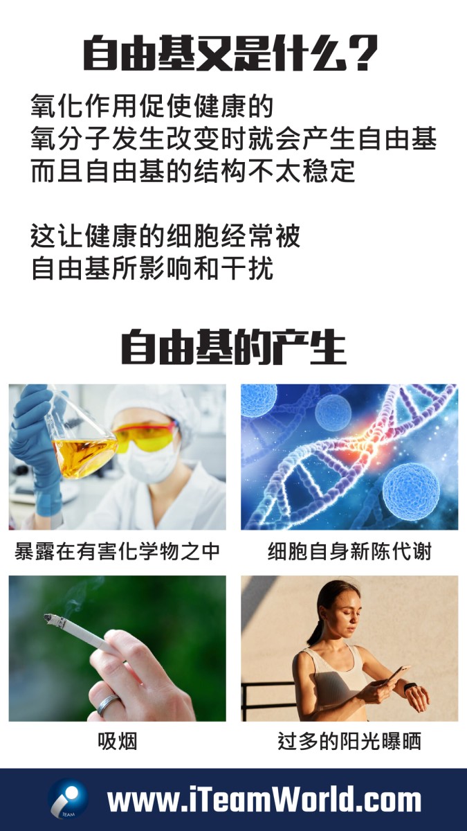 Antioxidants cn 4