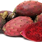 Cactus Fruit