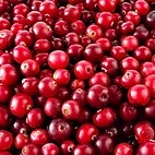 Cranberry