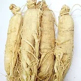 Ji Lin Ginseng