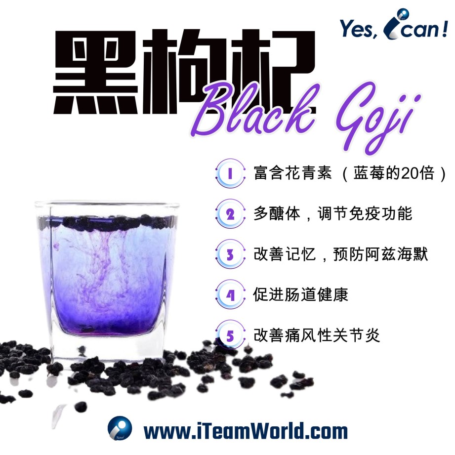 goji_blankgoji 230708
