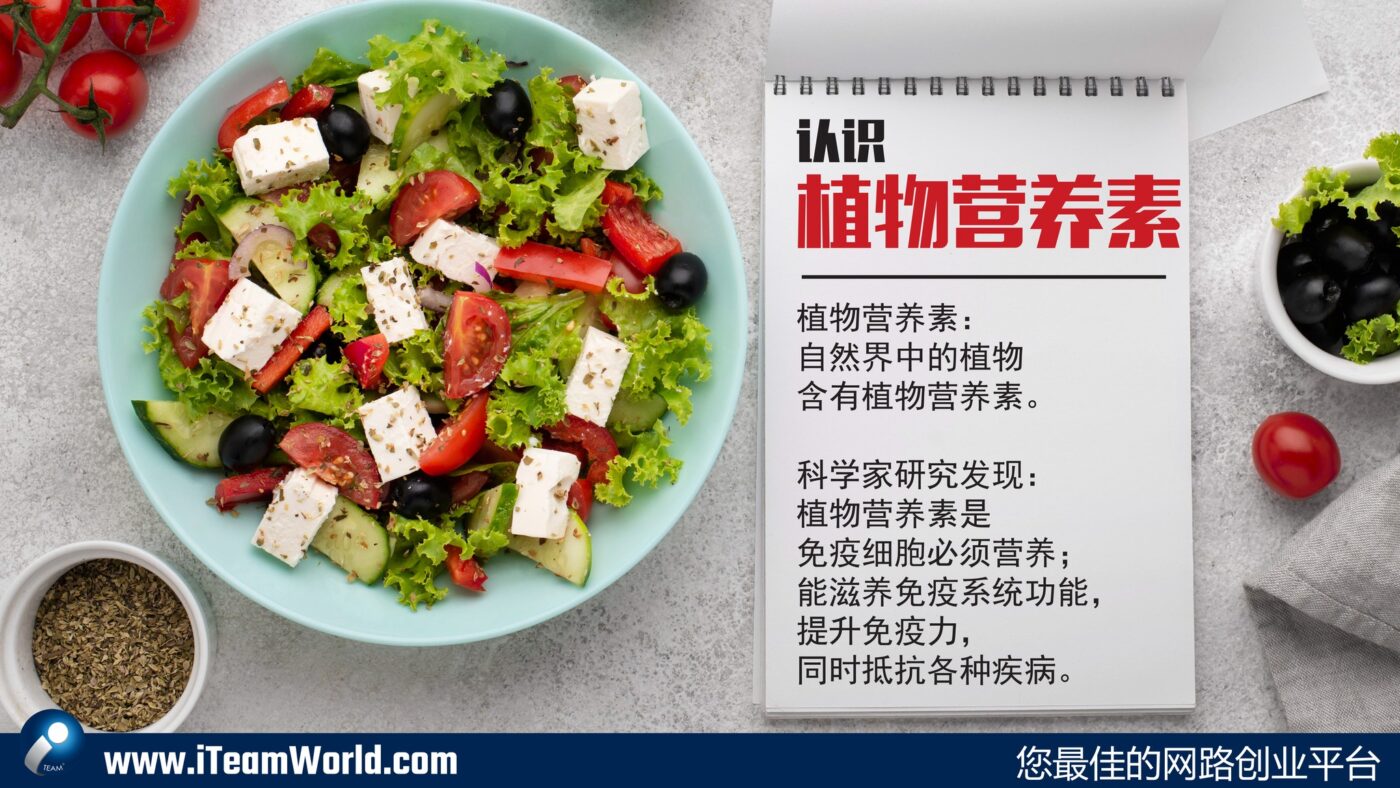phytochemicals cn 2