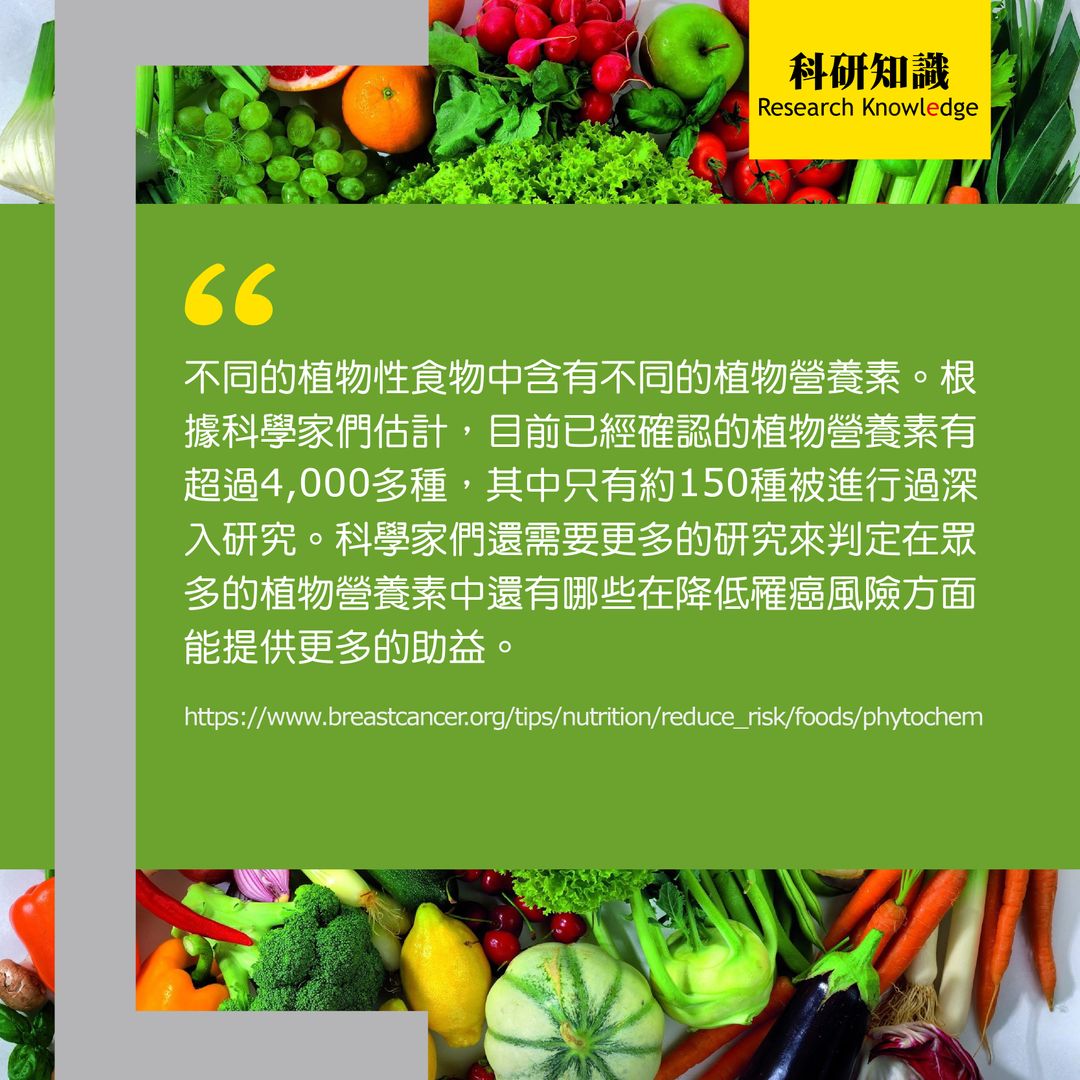 phytochemicals cn 4