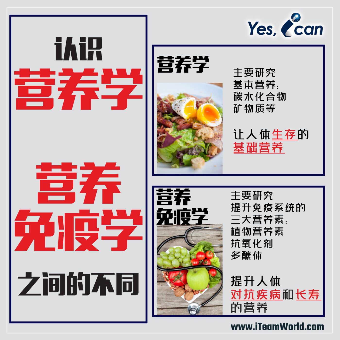 yingyangmianyixue 1