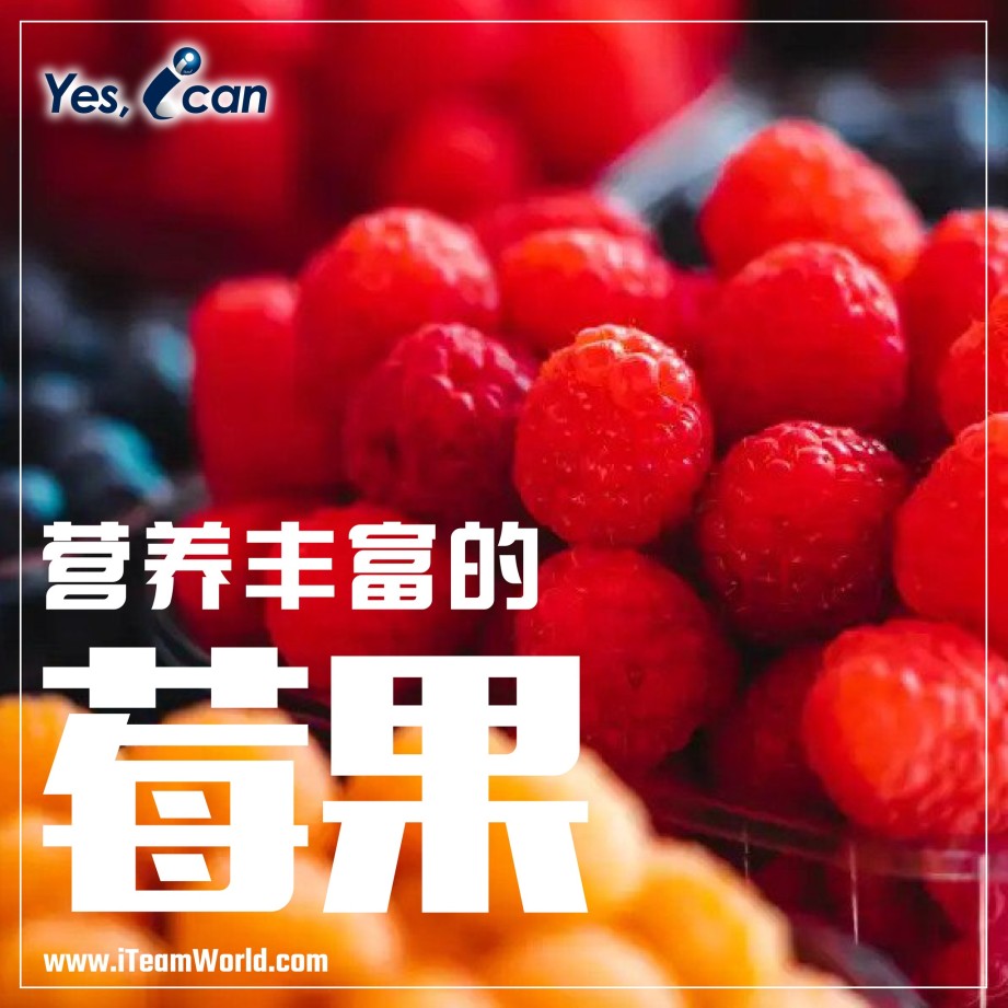 – Berry莓 1