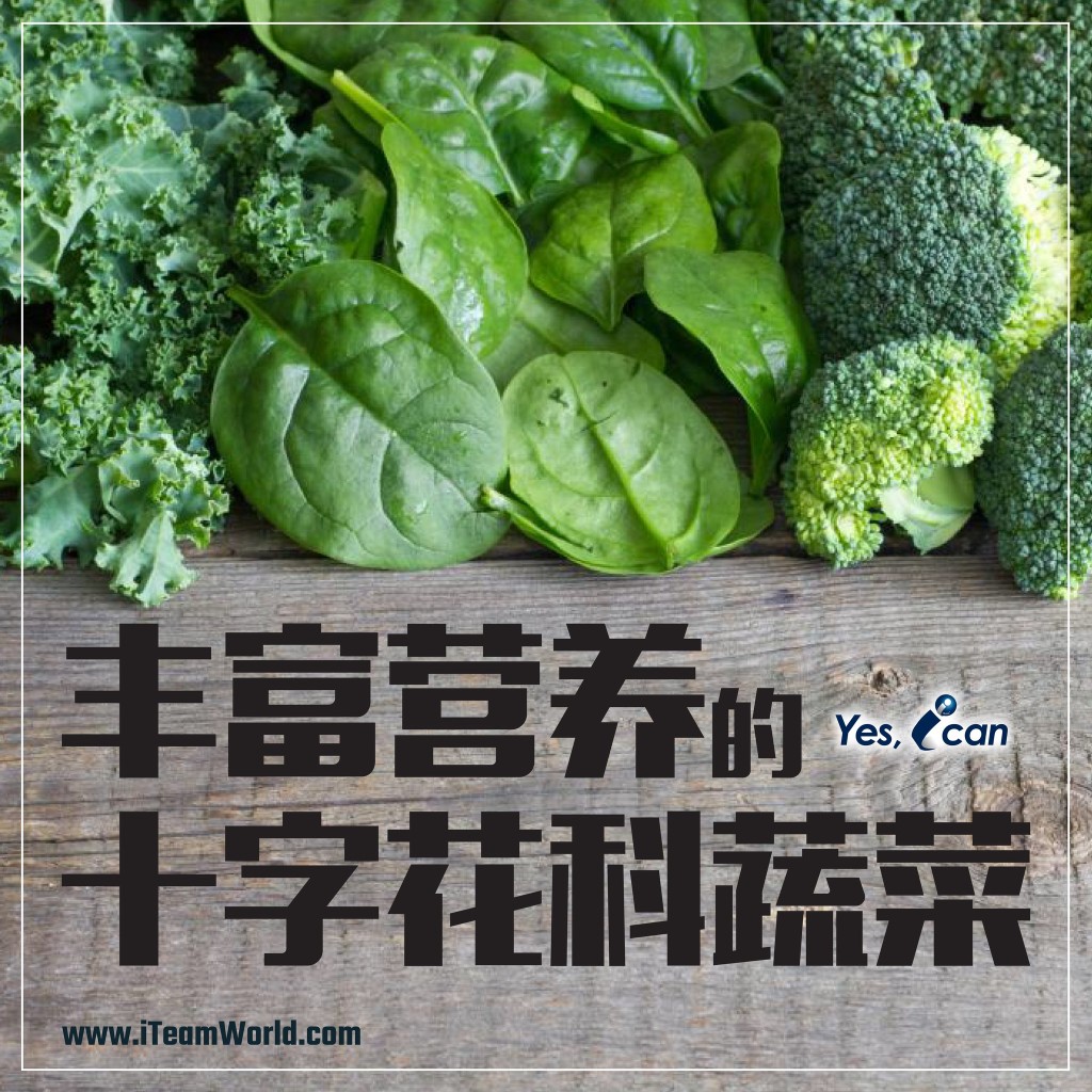 – 丰富营养的十字花科蔬菜 1