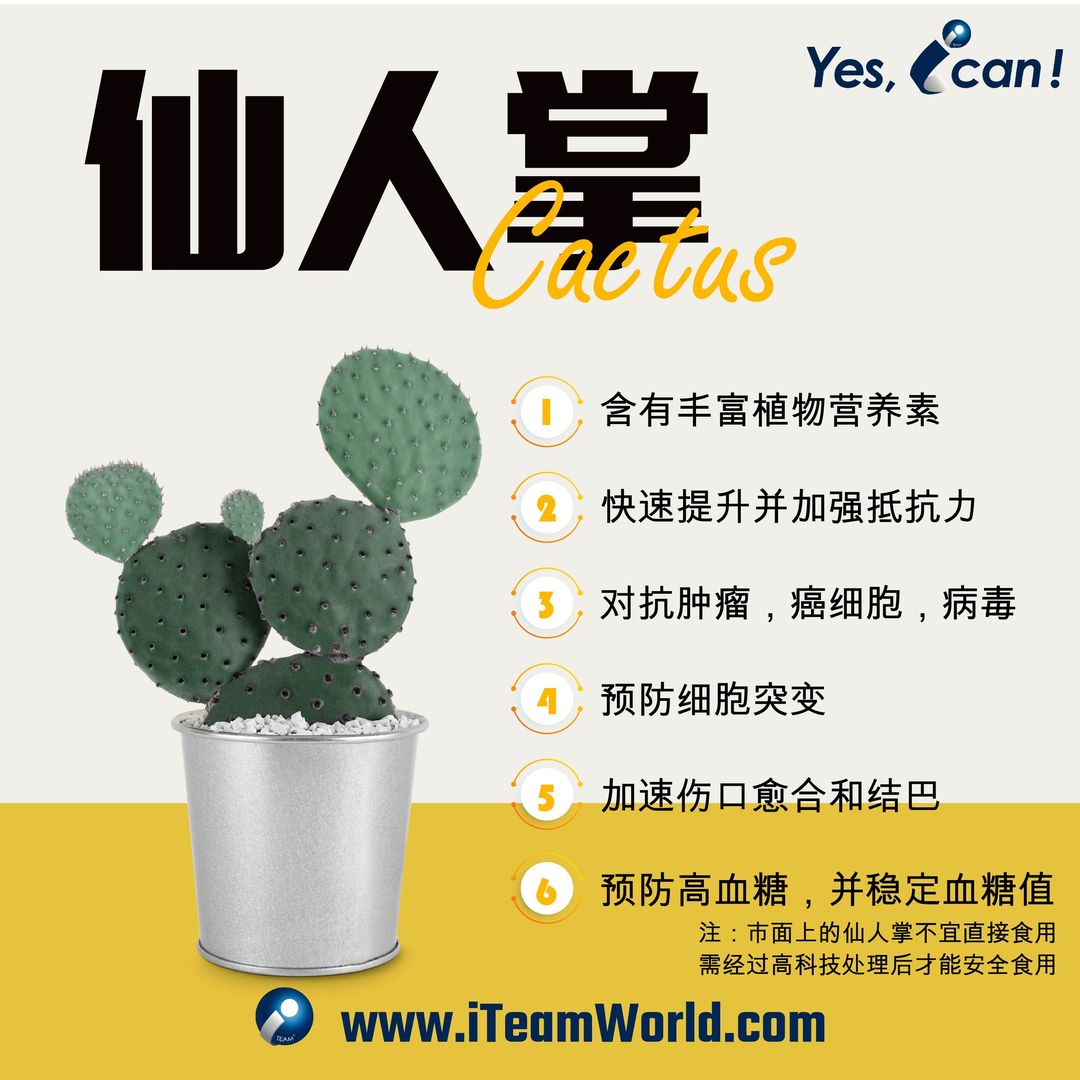 植物性食物 – 仙人掌 - 7