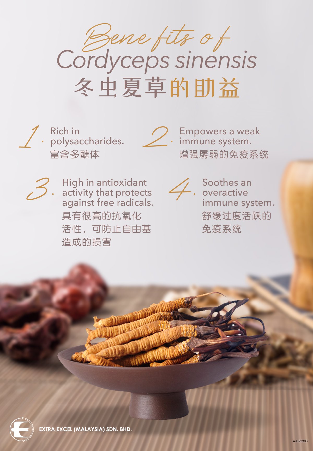 – 冬虫夏草 1