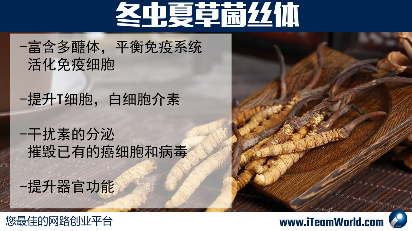 – 冬虫夏草 3