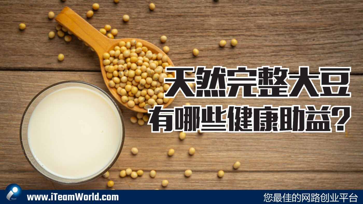 – 大豆 1