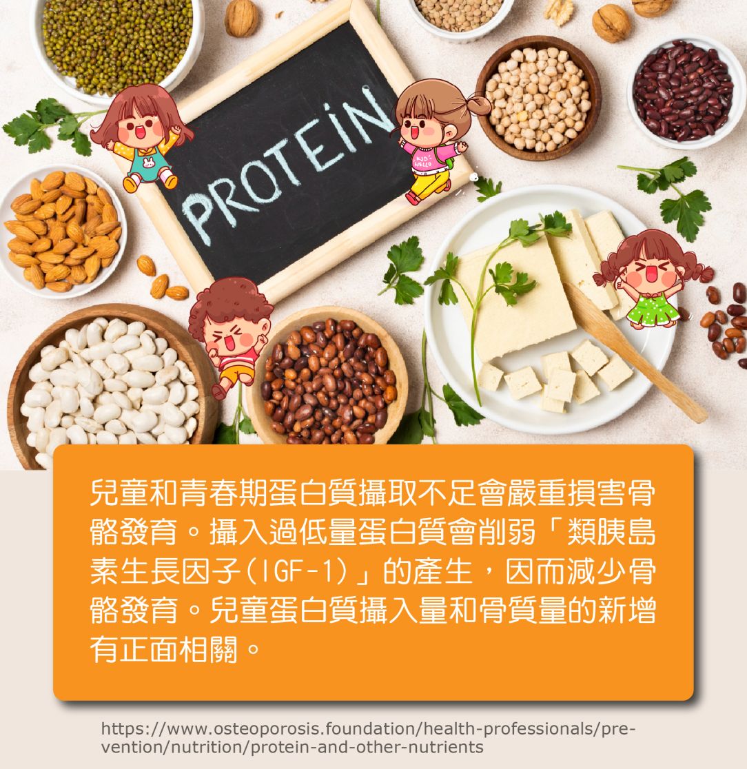 植物性食物 – 大豆 II 1