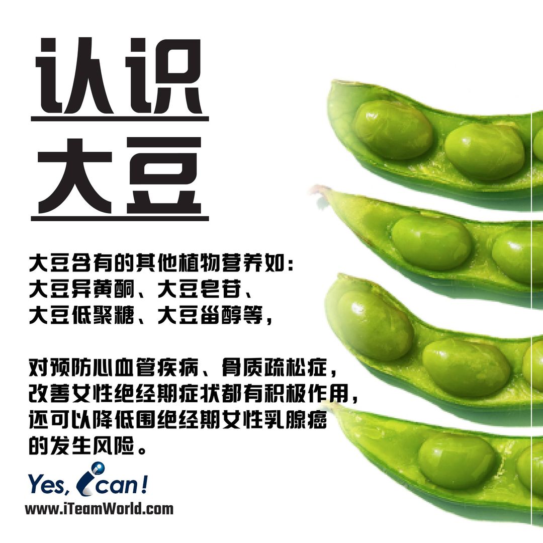 植物性食物 – 大豆 II 3