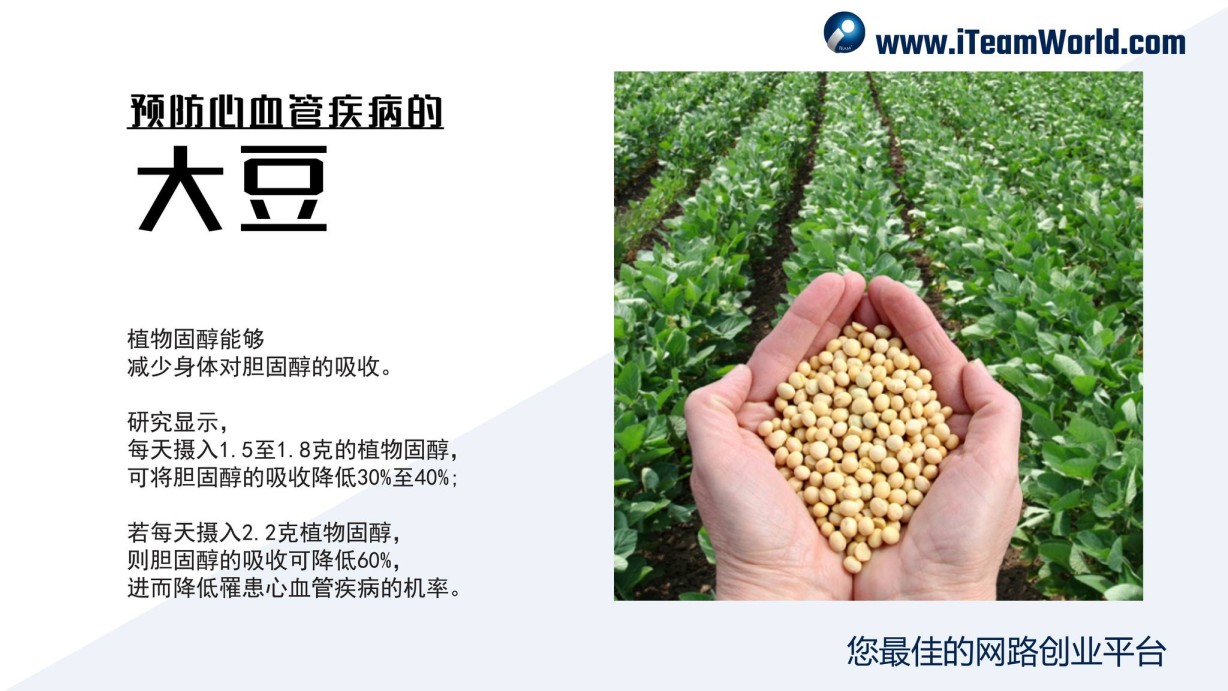 – 大豆 II 4