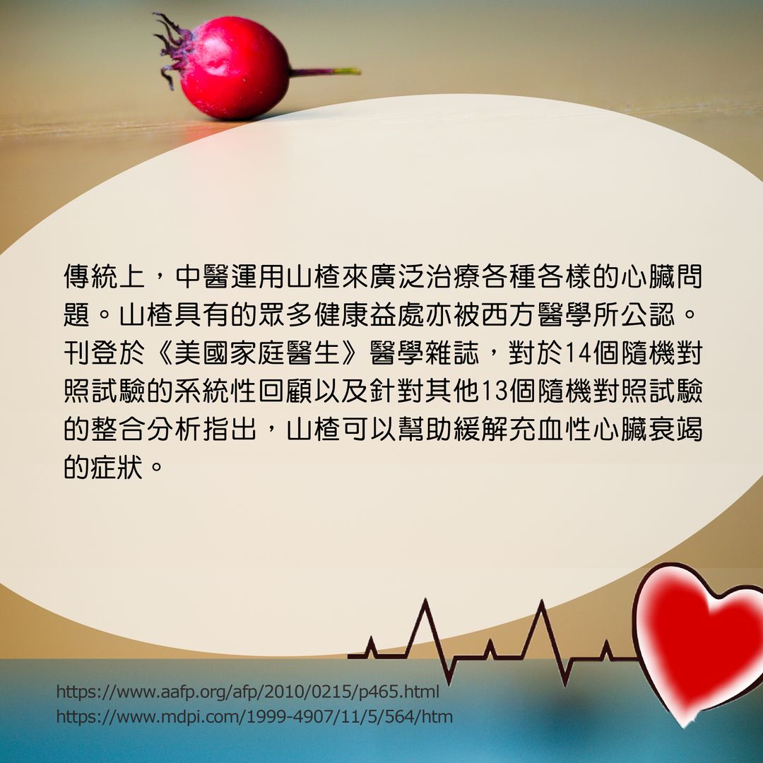 – 山楂 3
