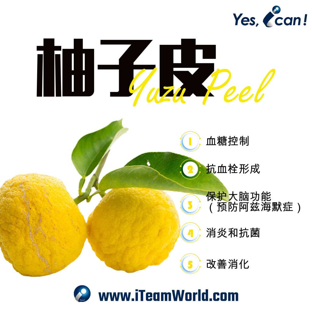 – 柚子皮 2