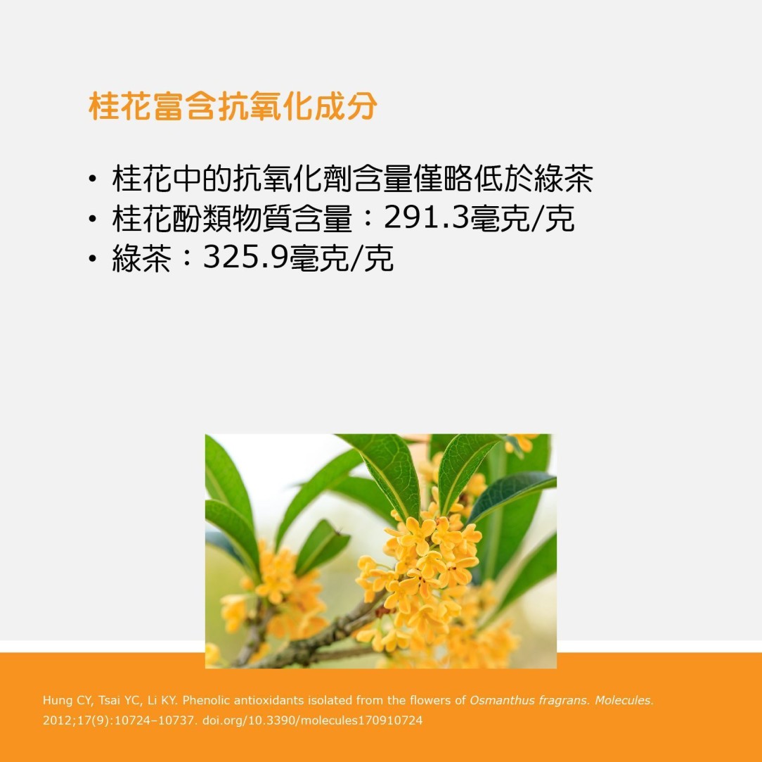 植物性食物 – 桂花 3
