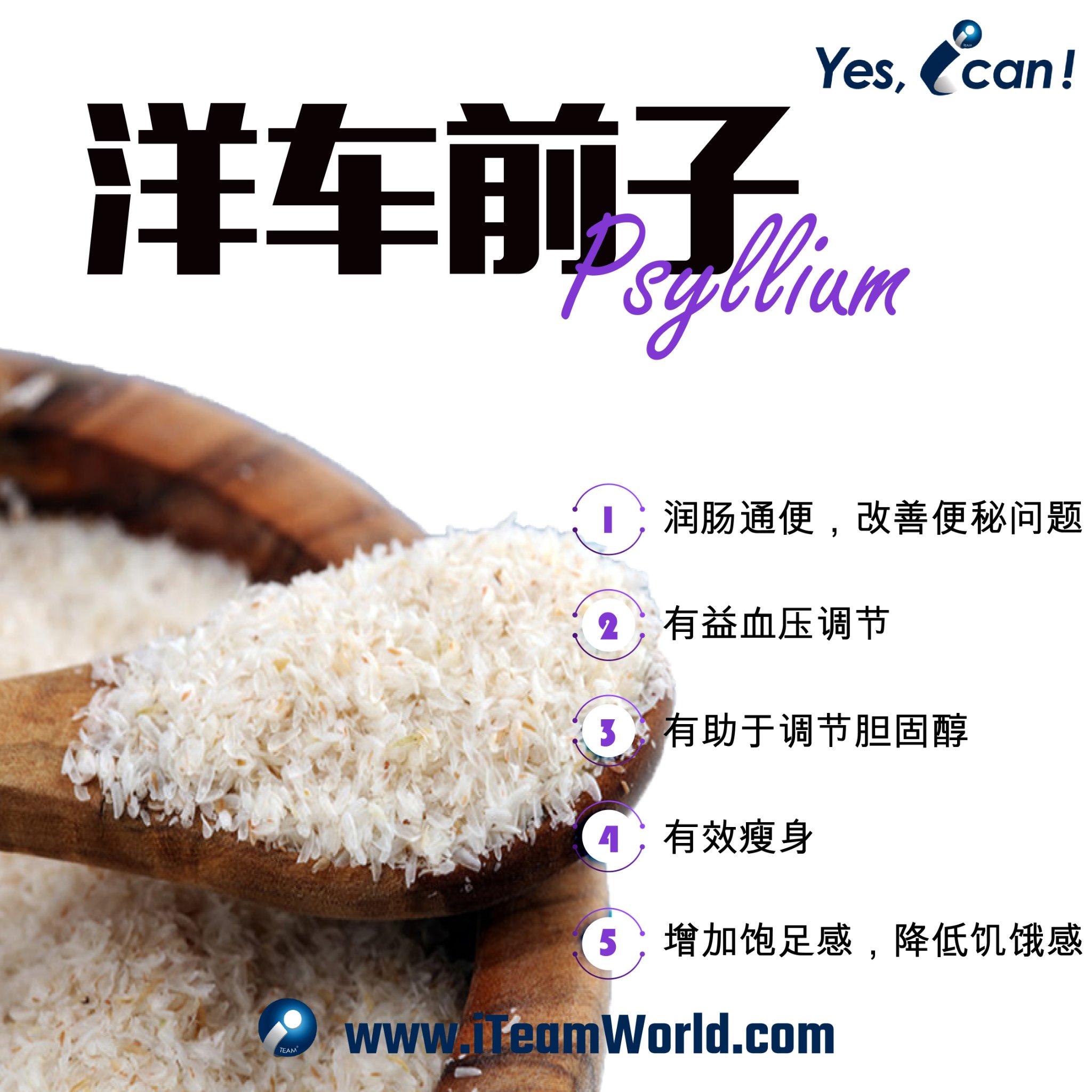植物性食物 – 洋车前子 - 1