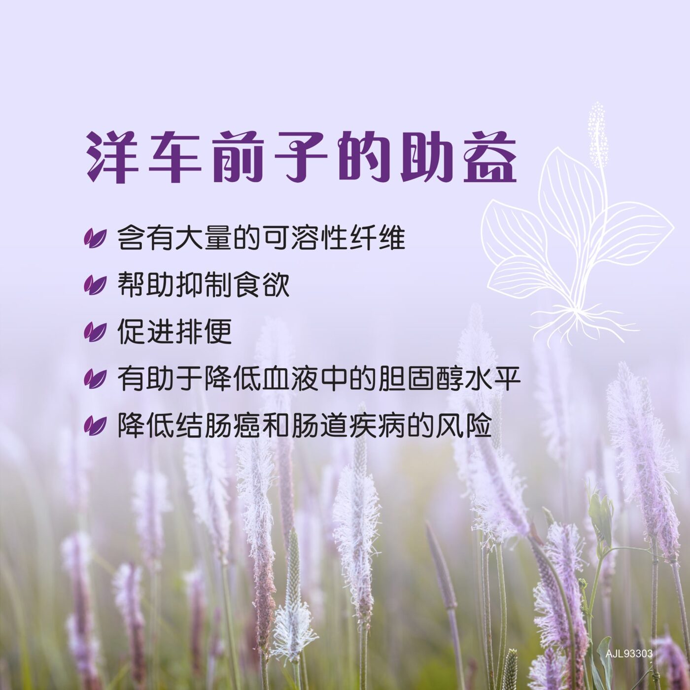 植物性食物 – 洋车前子 2