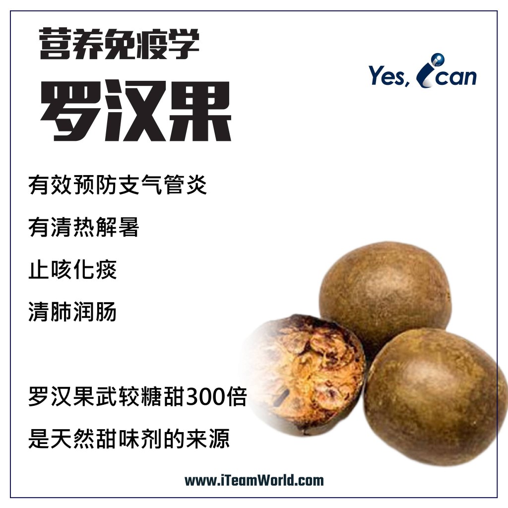 – 罗汉果 2