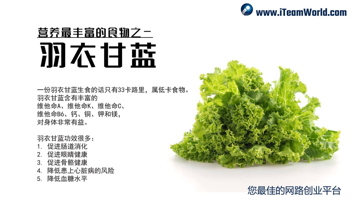 植物性食物 – 羽衣甘蓝 1