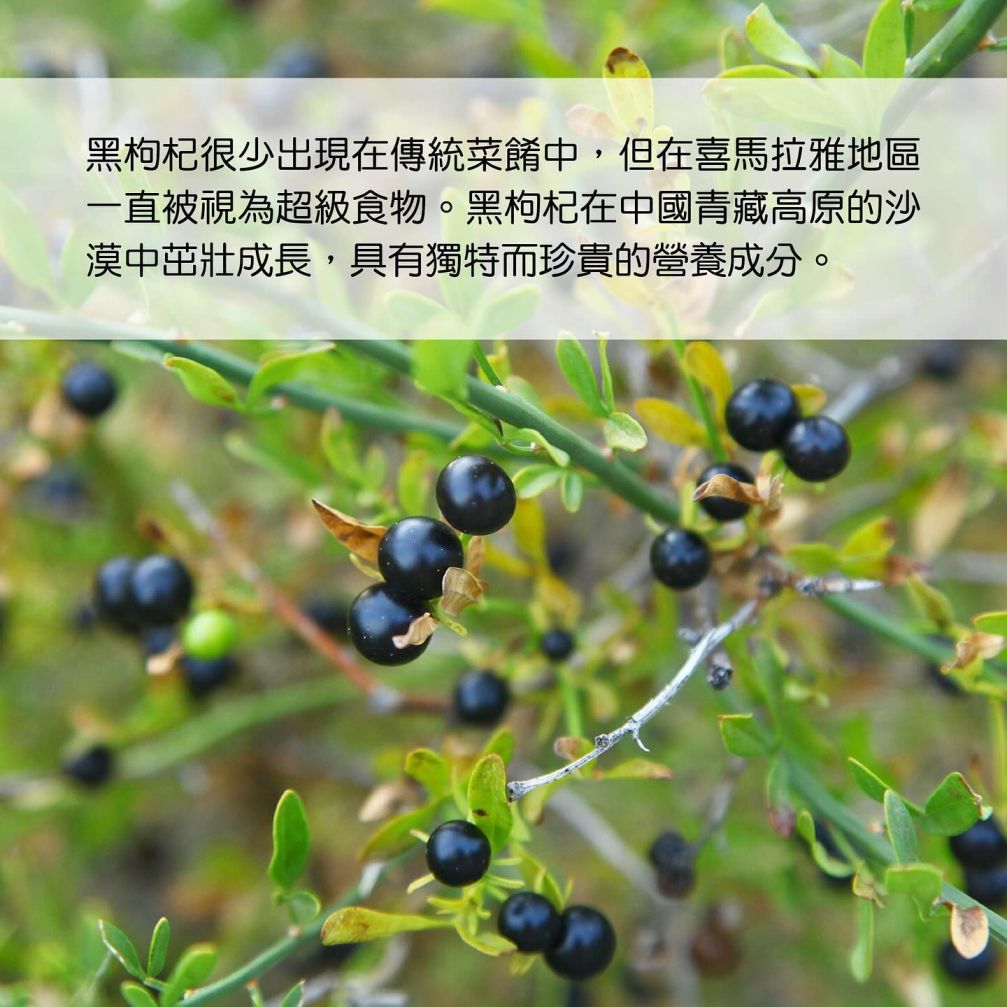 – 花青素 2