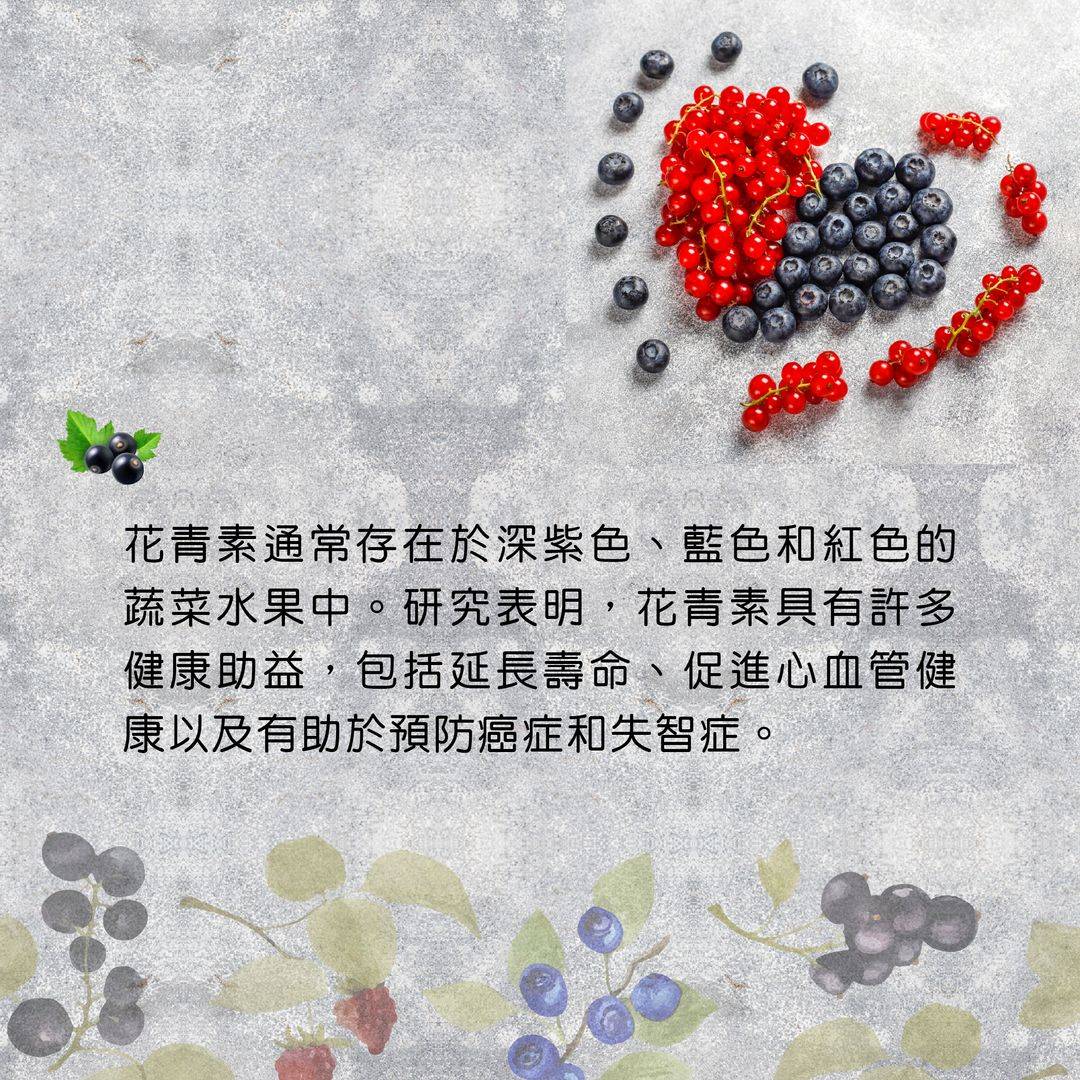 – 花青素 5