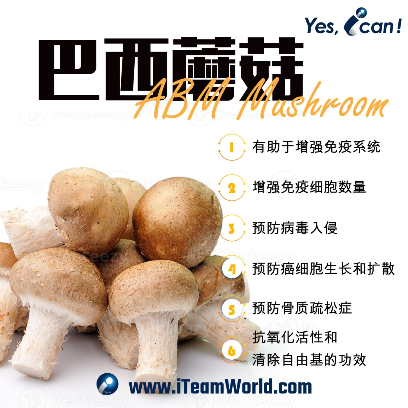 – 菇类含有丰富的多醣体 3