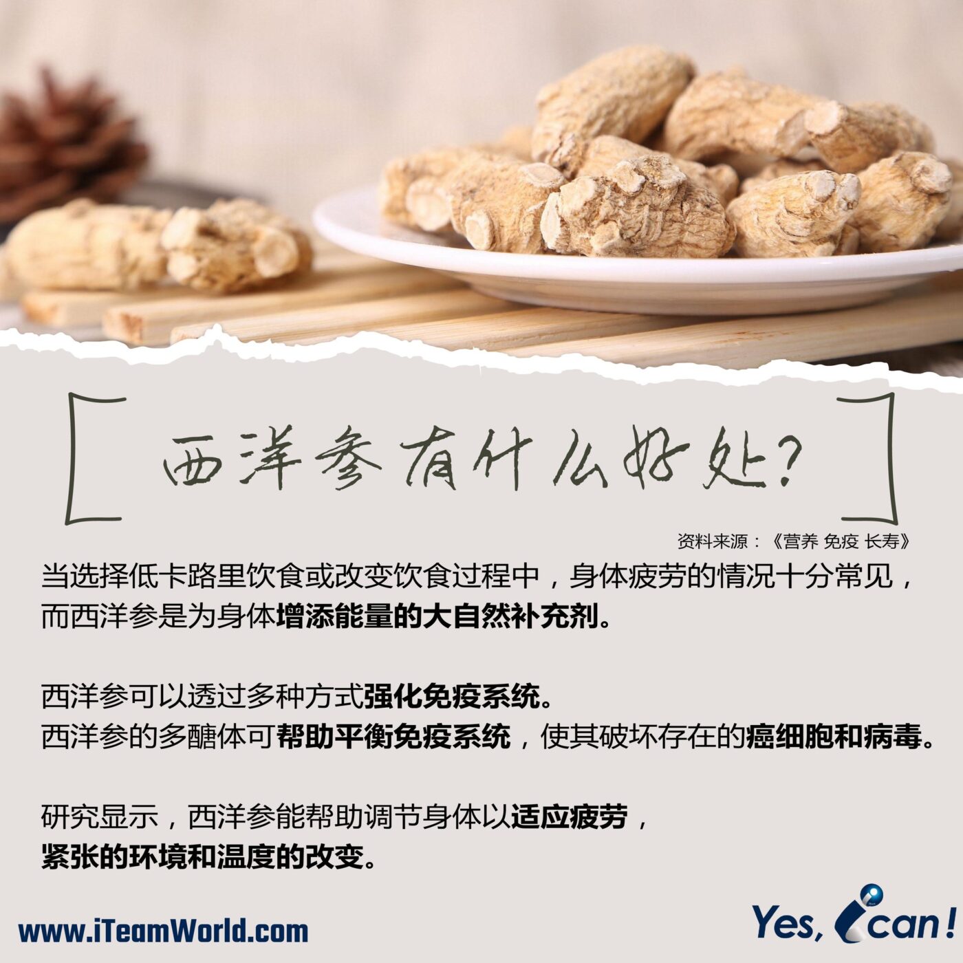 – 西洋参 2