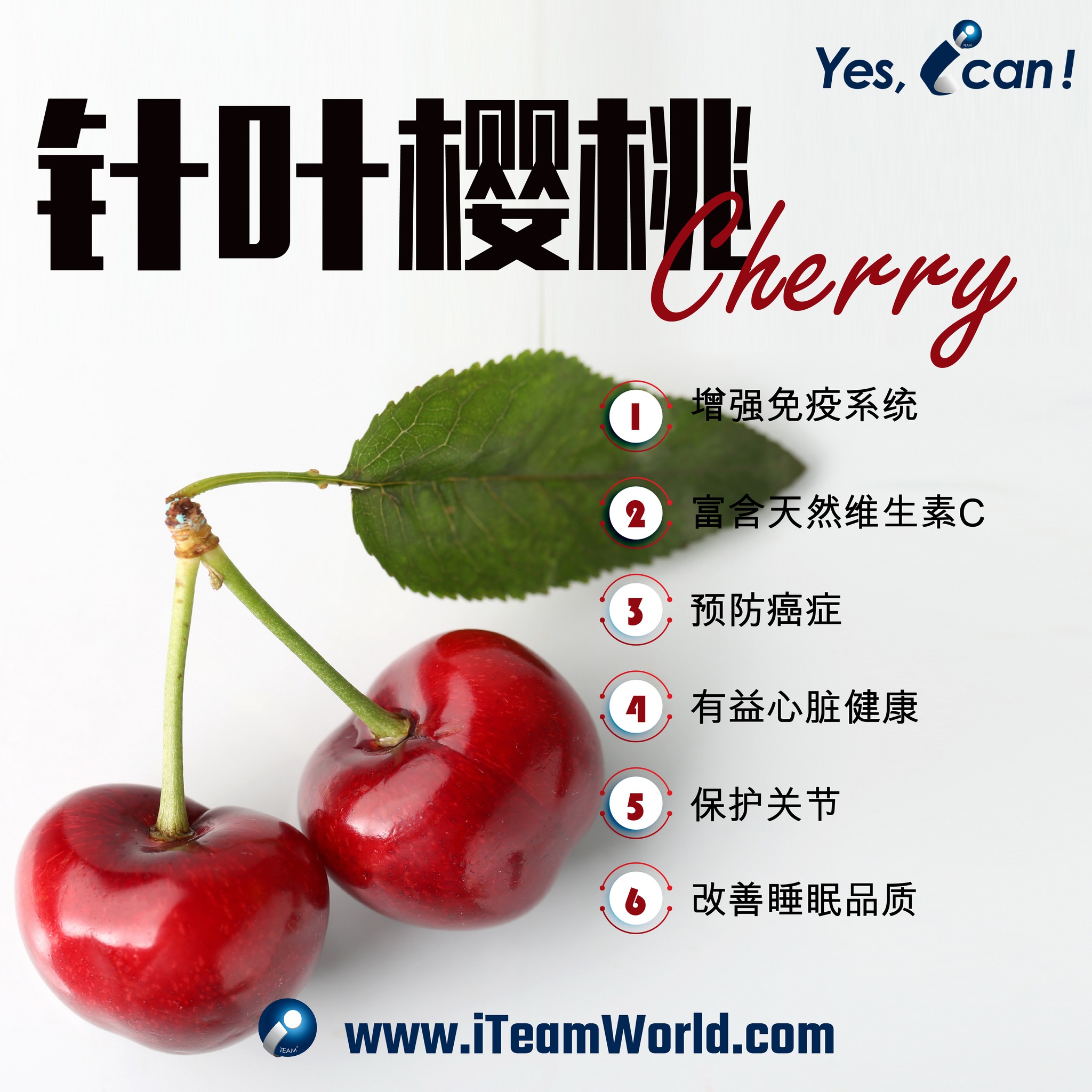 – 针叶樱桃 1