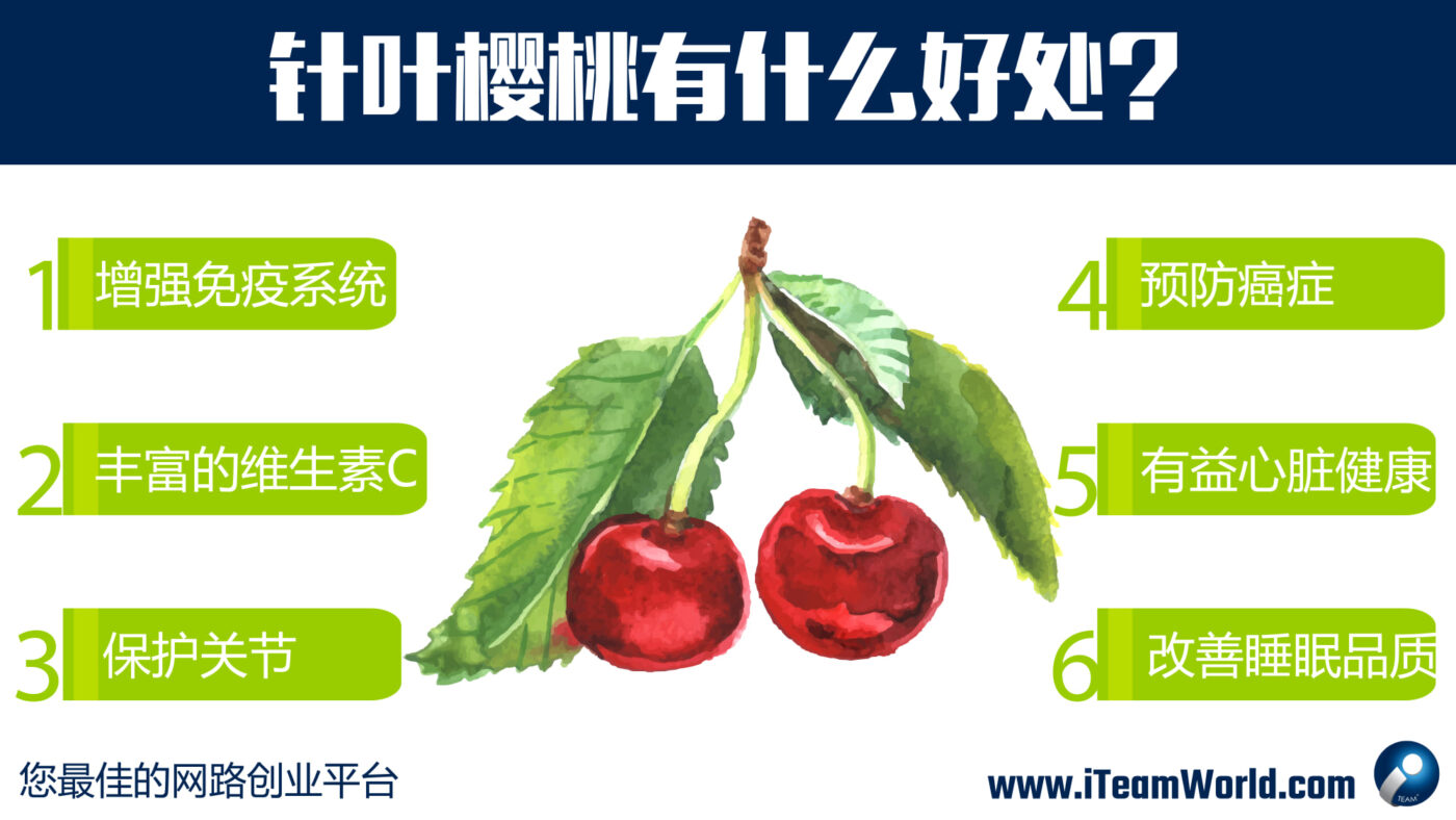 – 针叶樱桃 2