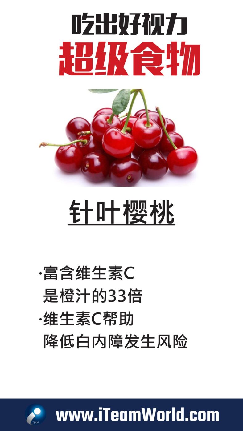 植物性食物 – 针叶樱桃 3