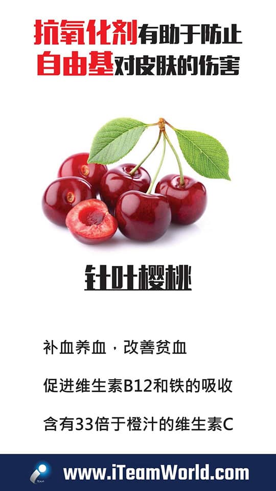 植物性食物 – 针叶樱桃 4