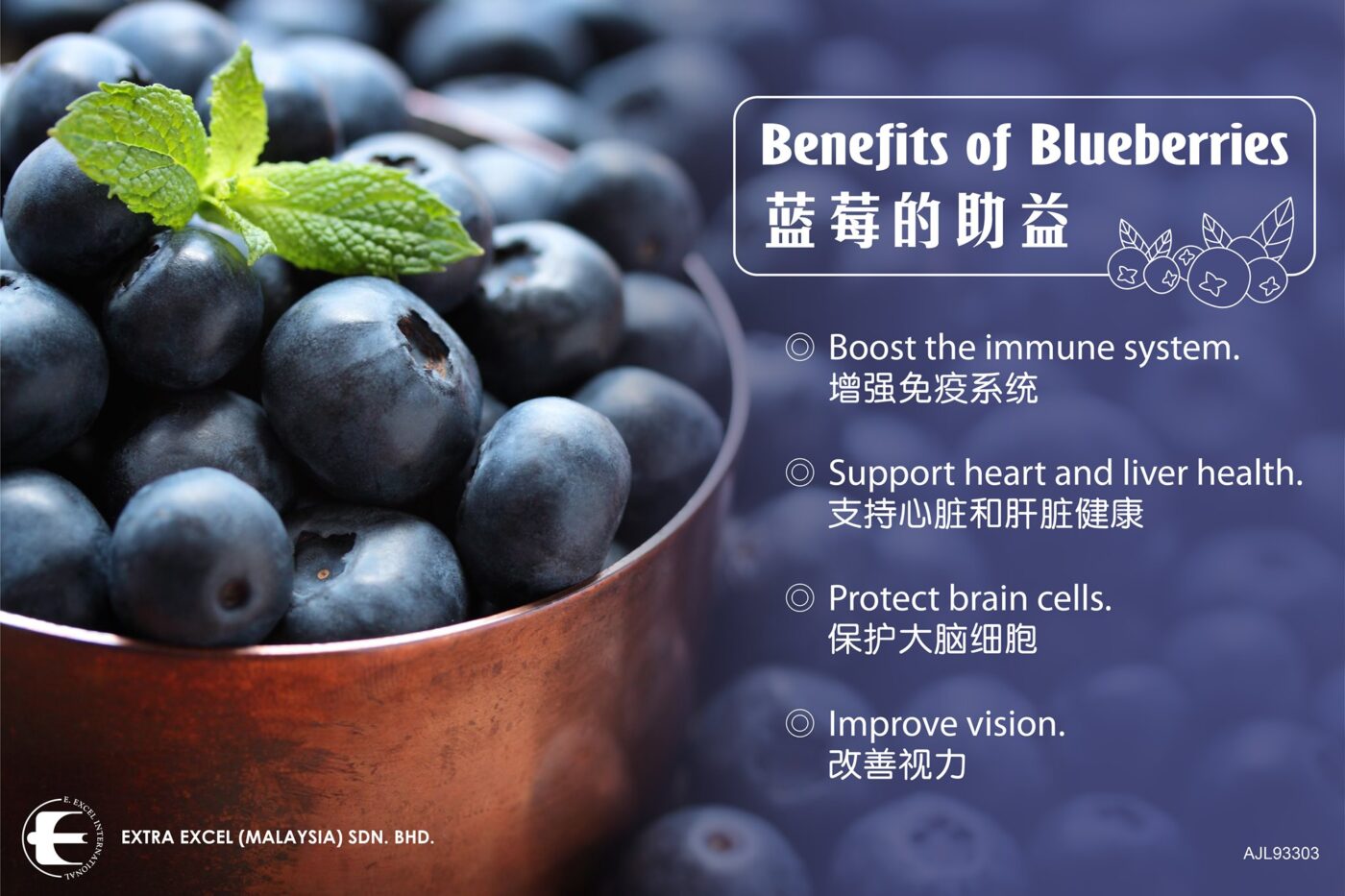 植物性食物 蓝莓 Blueberry 2